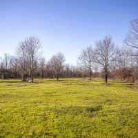 Delta Ducks and Deer images 2