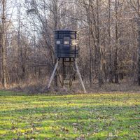 Delta Ducks and Deer images 5