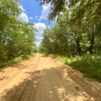 Lot 1 NE Dandelion 11 Acres images 2