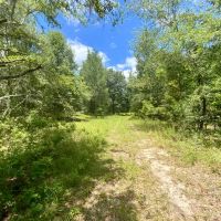 Lot 1 NE Dandelion 11 Acres images 3