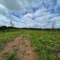 135 - ac with 10 acre pond images 2