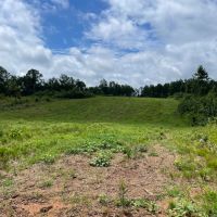 135 - ac with 10 acre pond images 4