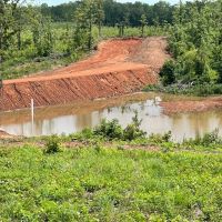 135 - ac with 10 acre pond images 5