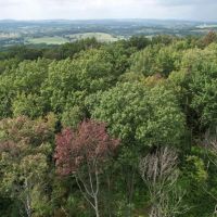 Route 982- Latrobe- 47.9 Acres