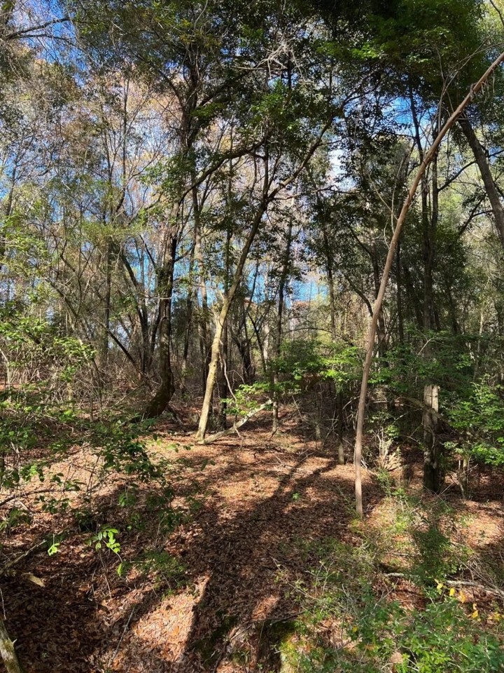 20 Acres in Independence featured image