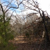 310 ACRES OF SECLUDED RECREATIONAL LAND images 2