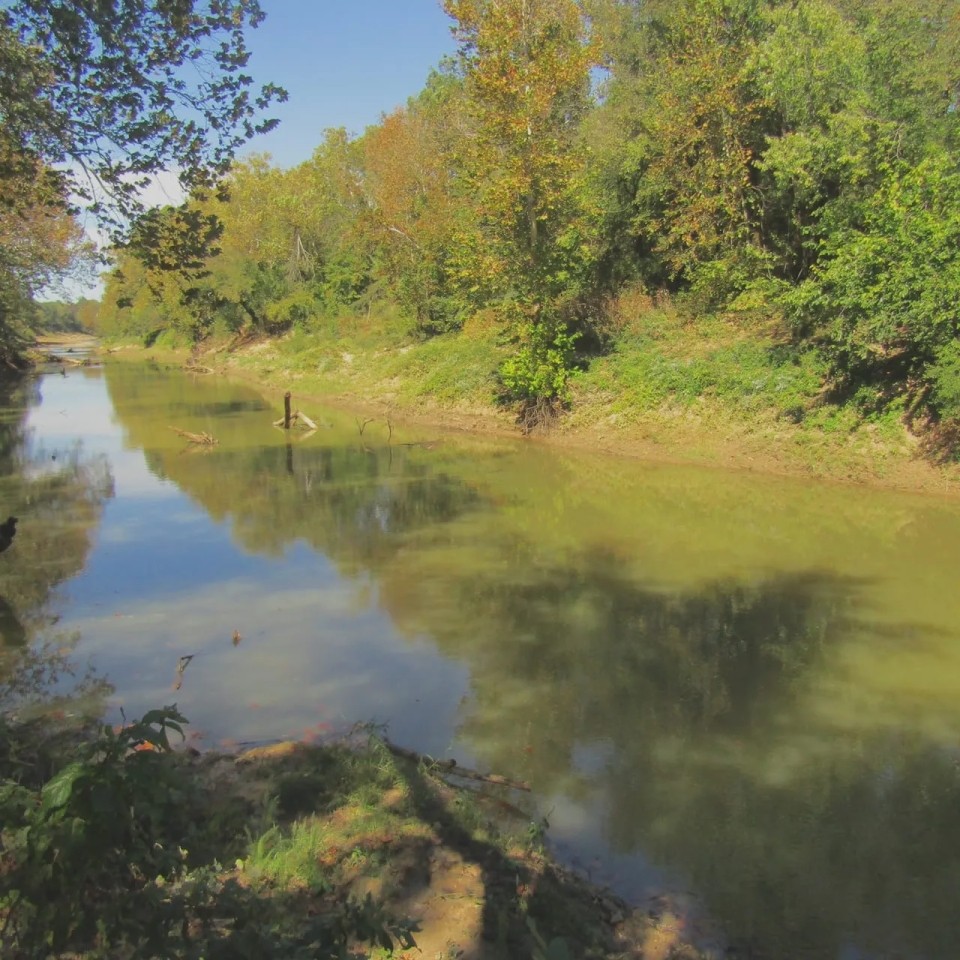 Muddy Boggy Bottom Recreational Treasure Choctaw County OK 80 AC featured image