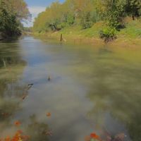Muddy Boggy Bottom Recreational Treasure Choctaw County OK 80 AC images 5