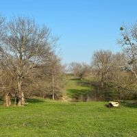 PRICE REDUCED 430 ACRES OF DUAL RANCH AND HUNTING images 4