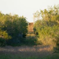 West Webb Ranch images 3