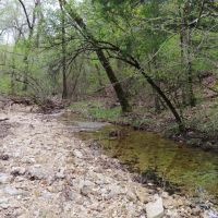 Hwy 5 South Frontage Hunting Building Acreage -Ozark County images 4