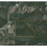 Affordable Ozark County Hunting Acreage