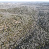 Affordable Ozark County Hunting Acreage images 2