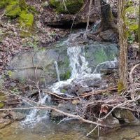 Affordable Ozark County Hunting Acreage images 5