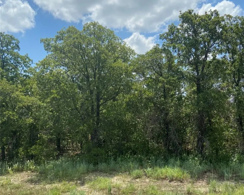 New Listing 16.34 - Acres Eastland County featured image