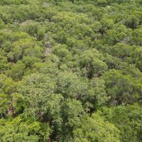 New Listing 16.34 - Acres Eastland County images 4