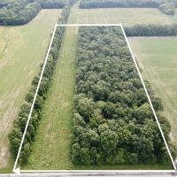 000 Pheasant Rd Xenia IL 62899