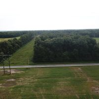 000 Pheasant Rd Xenia IL 62899 images 4