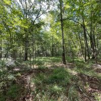 Hunting and Recreation Tract In The Heart of The Blackbelt images 3