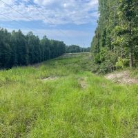 Hunting and Recreation Tract In The Heart of The Blackbelt images 5