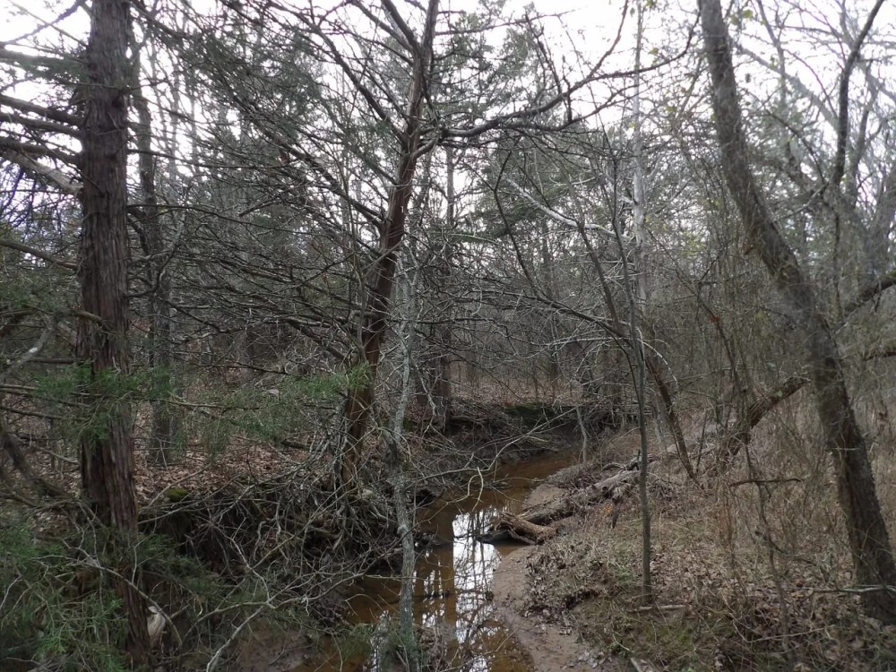 240 ACRES DUAL RANCH AND RECREATION featured image
