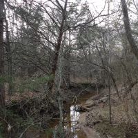 240 ACRES DUAL RANCH AND RECREATION