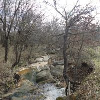240 ACRES DUAL RANCH AND RECREATION images 5