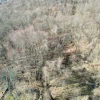 Malden Road Washington County - 22 acres images 3