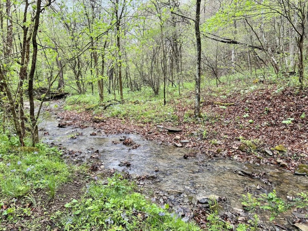 Labelle Rd. Fayette County 200 acres Hunting Land for Sale
