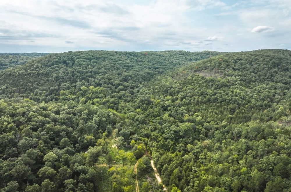Current River 80 Acres featured image