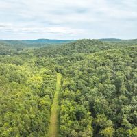 Current River 80 Acres images 2
