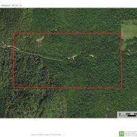 Current River 80 Acres images 4