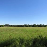 ROLLING HILL RANCHES DEVELOPMENT PHASE 2 Choctaw County OK LOT 4 30 AC images 4