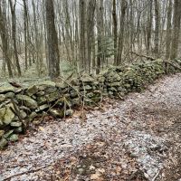Grimm Rd. Fayette County - 118 acres images 3