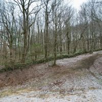 Grimm Rd. Fayette County - 118 acres images 4