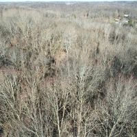 Florence Ave. Washington County - 16 acres images 5