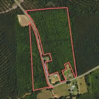 27.84 acres of Recreational and Timberland For Sale in Halifax County NC