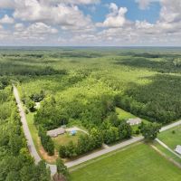27.84 acres of Recreational and Timberland For Sale in Halifax County NC images 3