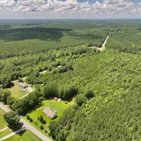 27.84 acres of Recreational and Timberland For Sale in Halifax County NC images 5