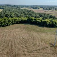 61.419 acres of Farm and Timber Land For Sale in Cabarrus County NC images 4