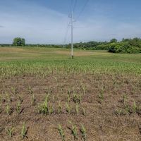 61.419 acres of Farm and Timber Land For Sale in Cabarrus County NC images 5