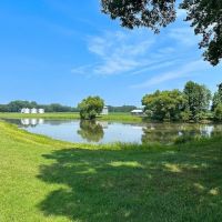 202 Acres of Farm and Hunting Land in Southampton Co VA images 3