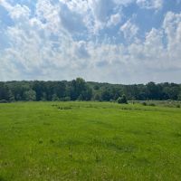 The Galloway Place -197 Acres images 2