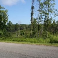 SU121112 Fayette Tract images 2