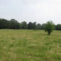 Recreational Hunting Mecca Close To Hugo Dam Kiamichi River Choctaw County OK 9 AC images 3