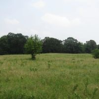 Recreational Hunting Mecca Close To Hugo Dam Kiamichi River Choctaw County OK 9 AC images 5