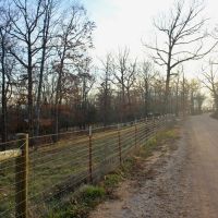 Ozark Bluff Top Paradise images 2