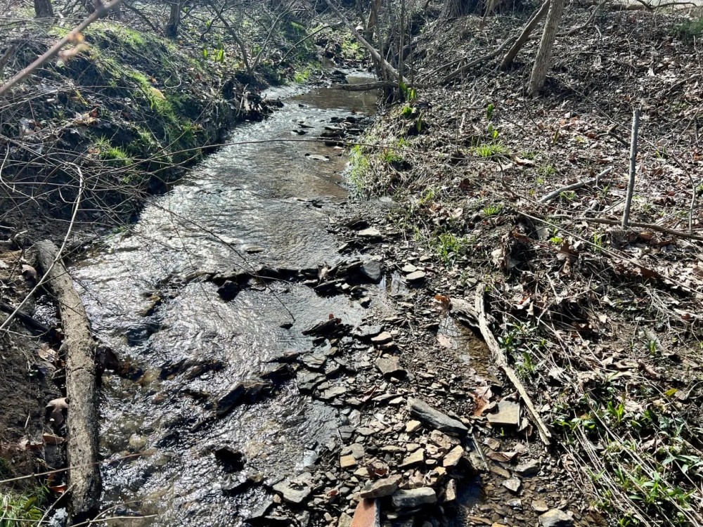 Mudlick Hollow Rd. Beaver County - 68 acres featured image