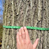 Mudlick Hollow Rd. Beaver County - 68 acres images 4