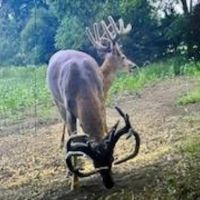 Premier Bourbon County Hunting Farm images 4
